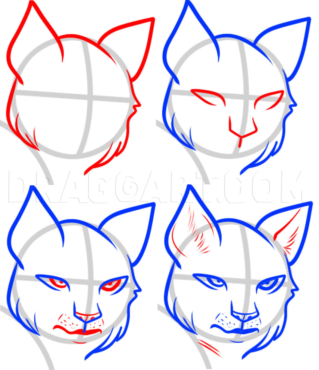 How To Draw A Lynx, Lynx, Step by Step, Drawing Guide, by Dawn - DragoArt