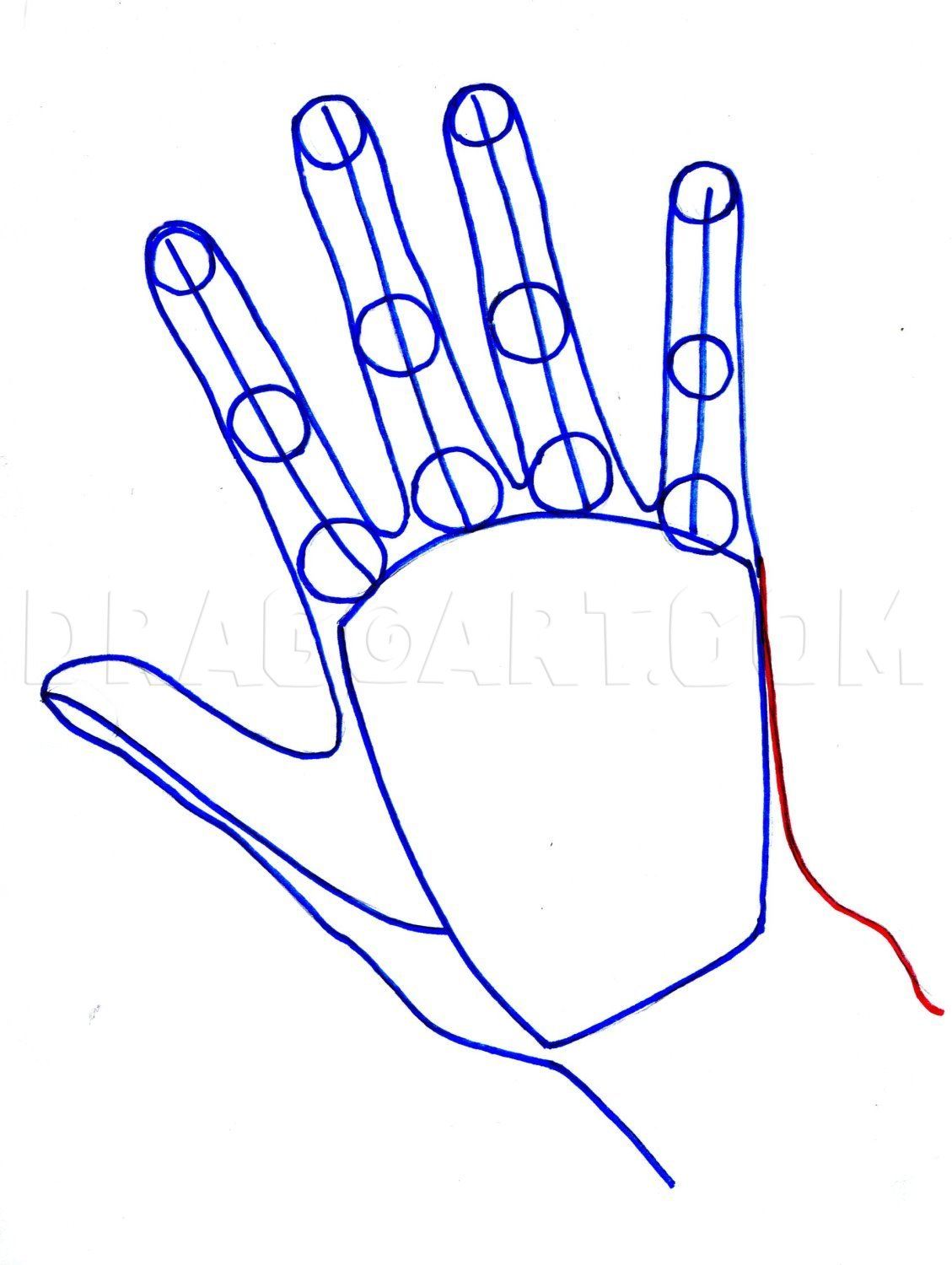 How To Draw Realistic Hands Draw Hands Step By Step Drawing Guide By Catlucker Dragoart Com