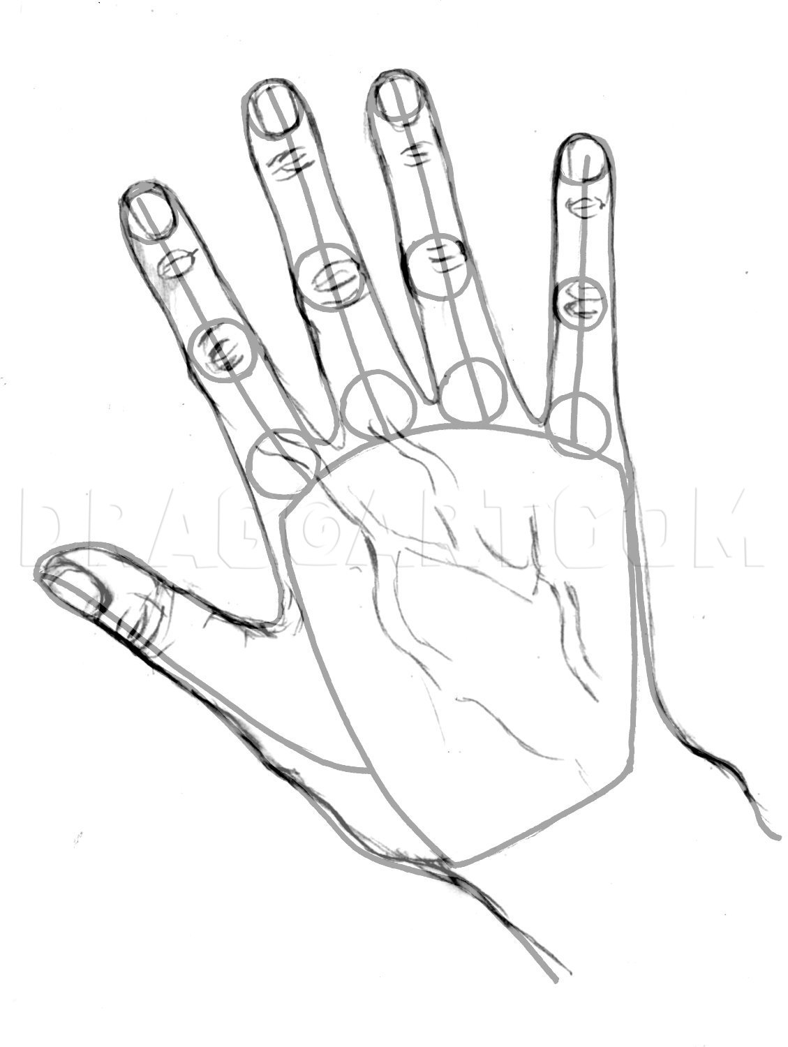 drawing realistic hands