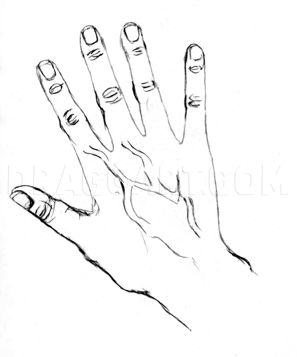 drawing realistic hands