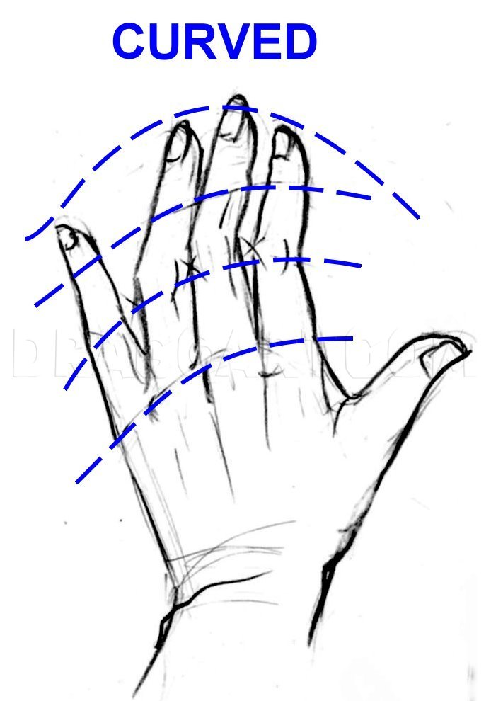 How To Draw Realistic Hands Draw Hands Step By Step Drawing Guide By Catlucker Dragoart Com