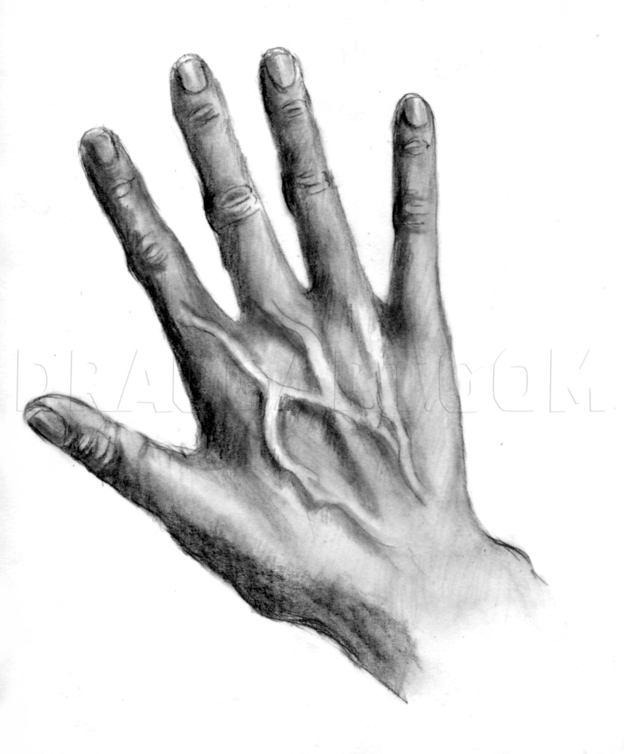 How To Draw Realistic Hands Draw Hands Step By Step Drawing Guide By Catlucker Dragoart