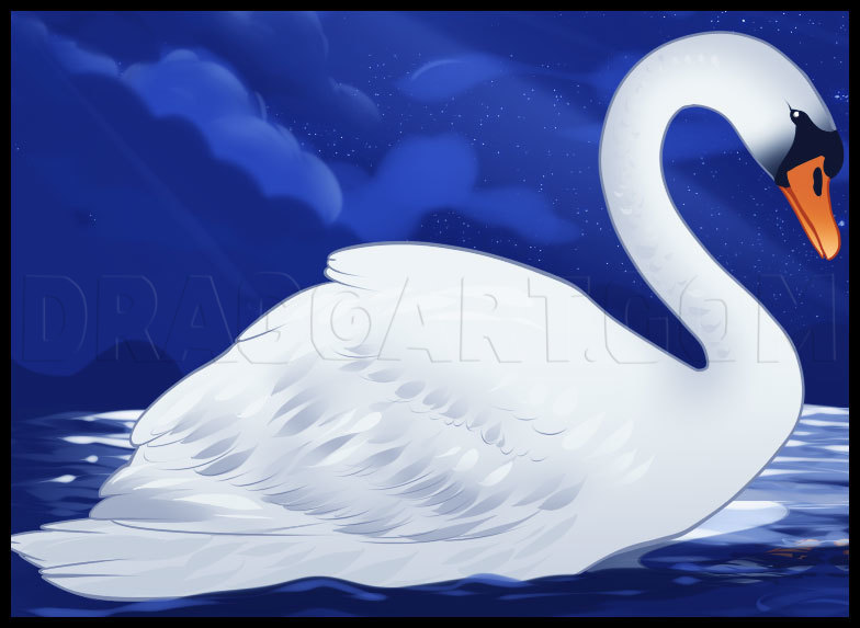 How To Draw A Swan Step By Step Drawing Guide By Dawn Dragoart 1758