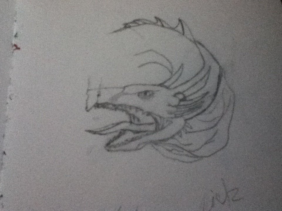 Dragon Head