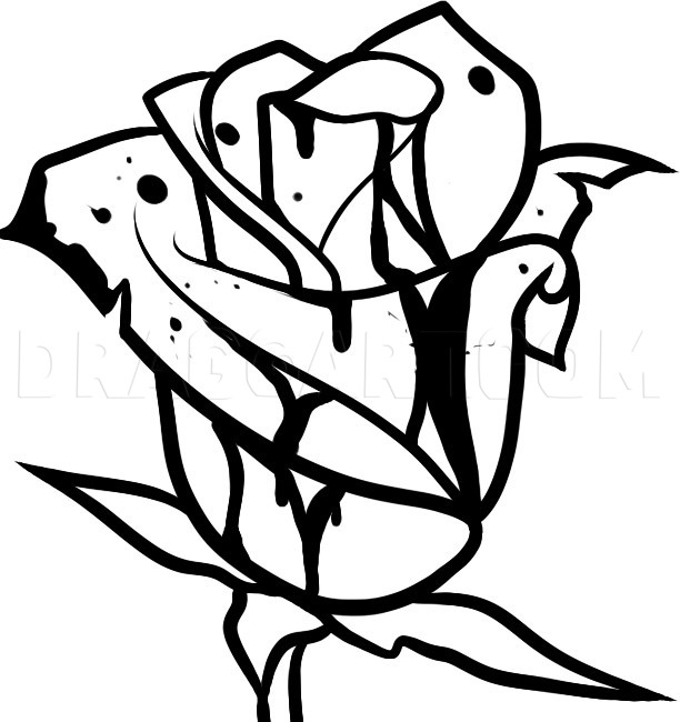 bleeding white rose drawing