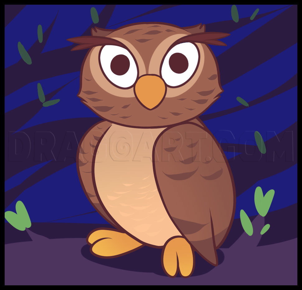 animated owl pictures for kids