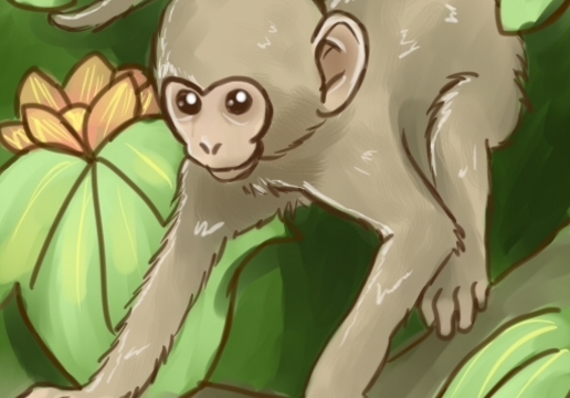 How To Draw Monkeys Trending Difficulty Any Dragoart Com