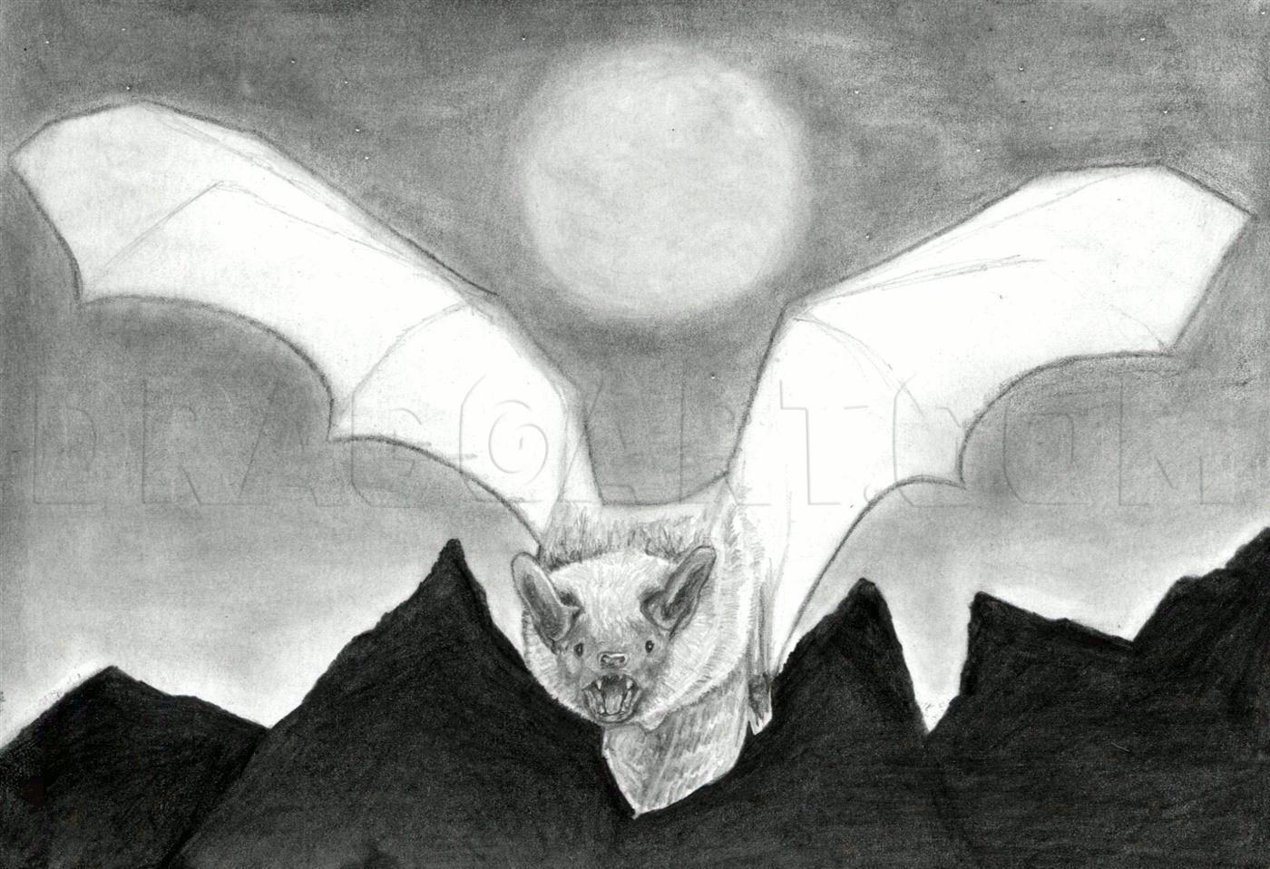 How To Draw A Realistic Bat, Step by Step, Drawing Guide, by