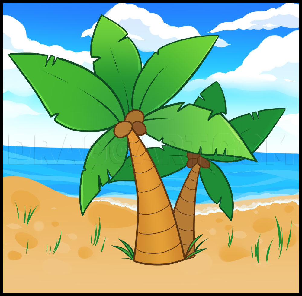 How To Draw Palm Trees Step By Step Drawing Guide By Dawn Dragoart Com