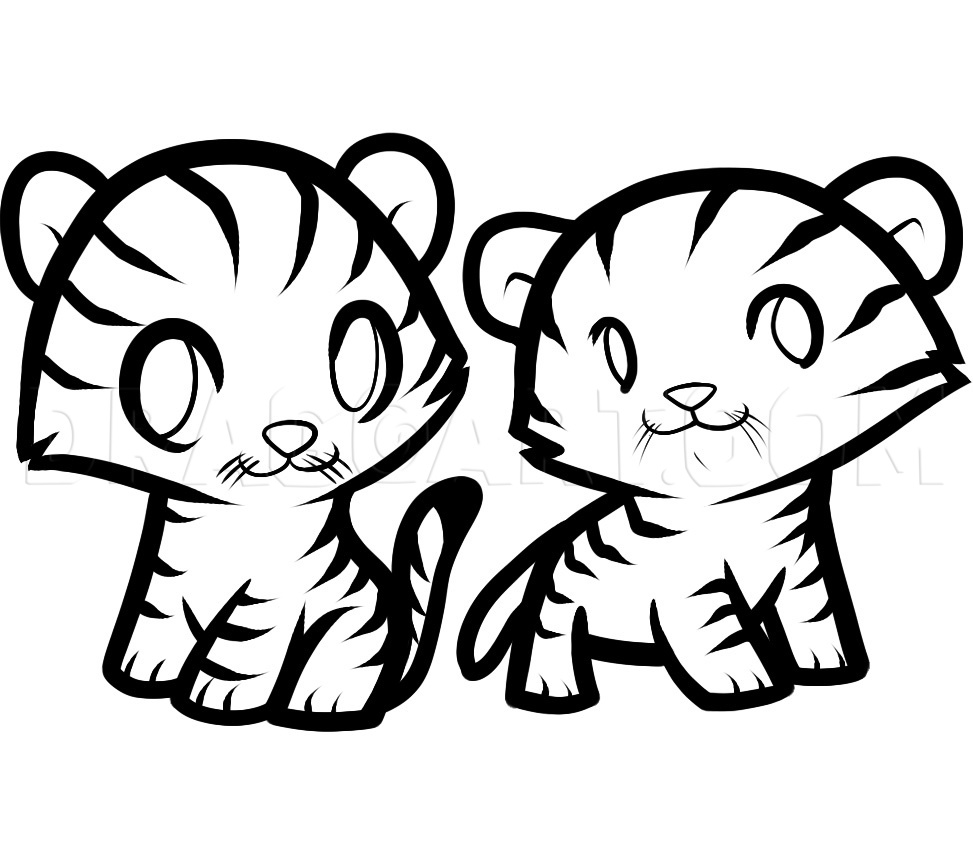 How to Draw Tigers for Kids, Coloring Page, Trace Drawing