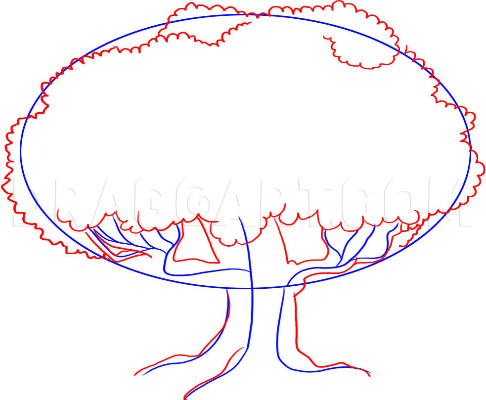 white oak tree drawing