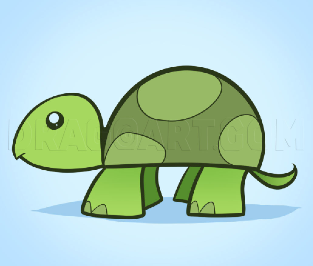 how to draw a cute turtle