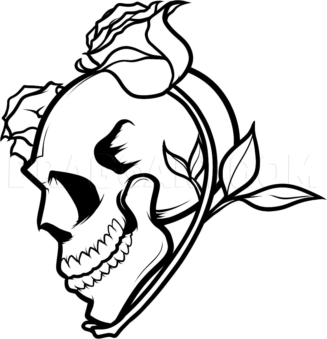 How To Draw A Skull And Roses, Skull And Roses, Step by Step, Drawing  Guide, by Dawn - DragoArt