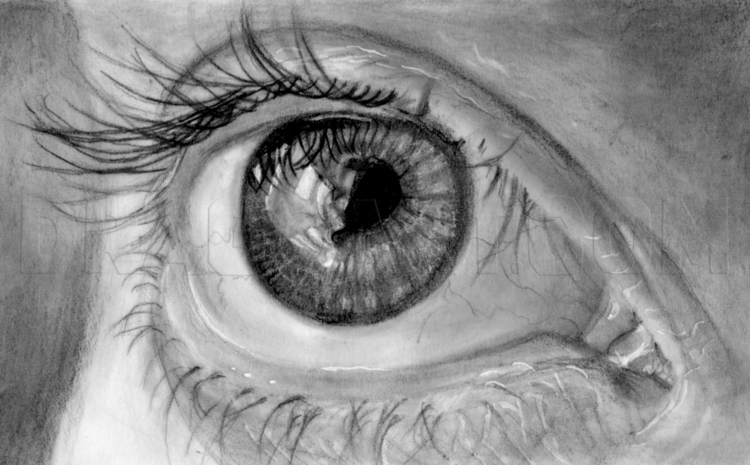 How To Draw Eyes In Pencil Draw Eyes With Pencil Step By Step Drawing Guide By Catlucker Dragoart Com