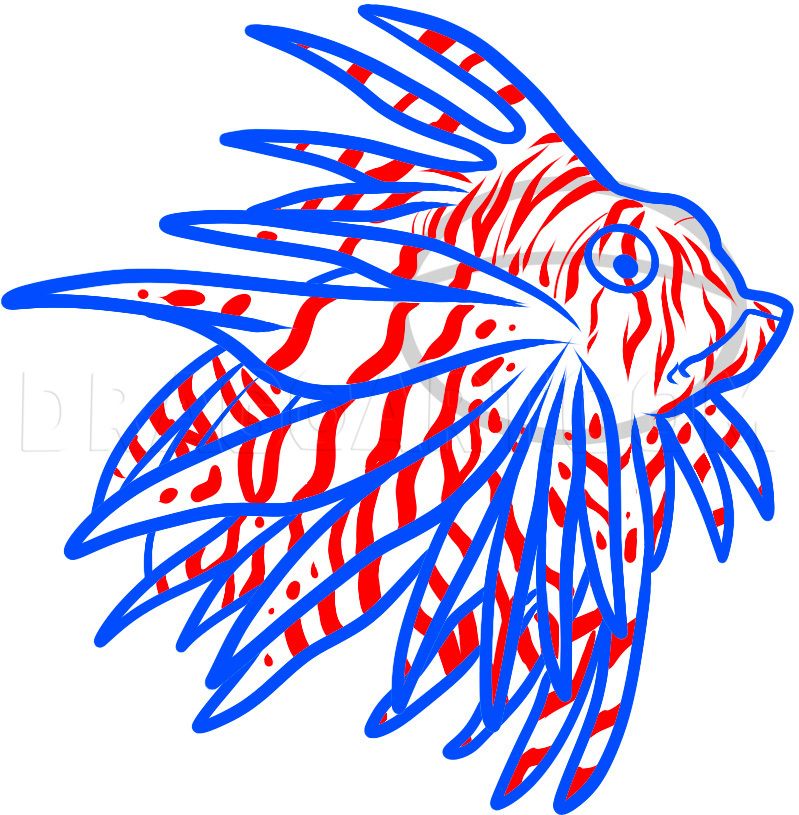 How To Draw A Lionfish, Lionfish, Step by Step, Drawing Guide, by Dawn