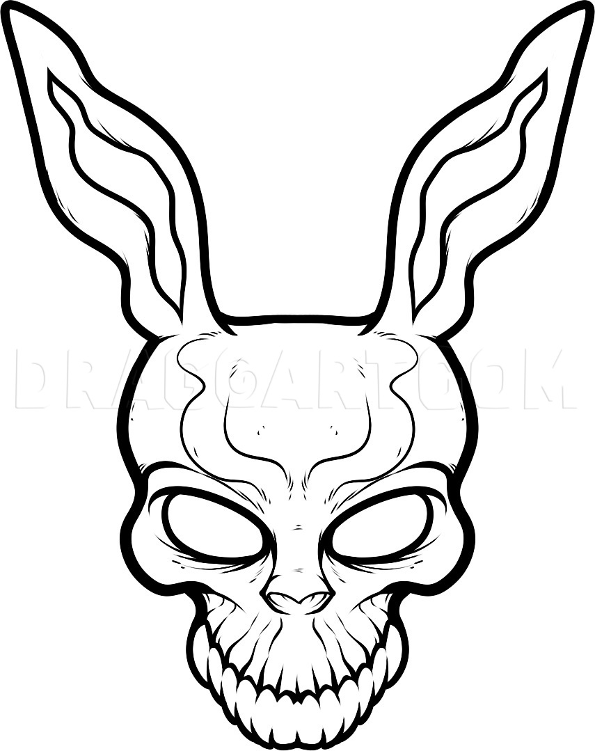 Featured image of post Rabbit Skull Drawing Start with a simple circle and make a few faint guidelines that help you place the jawline