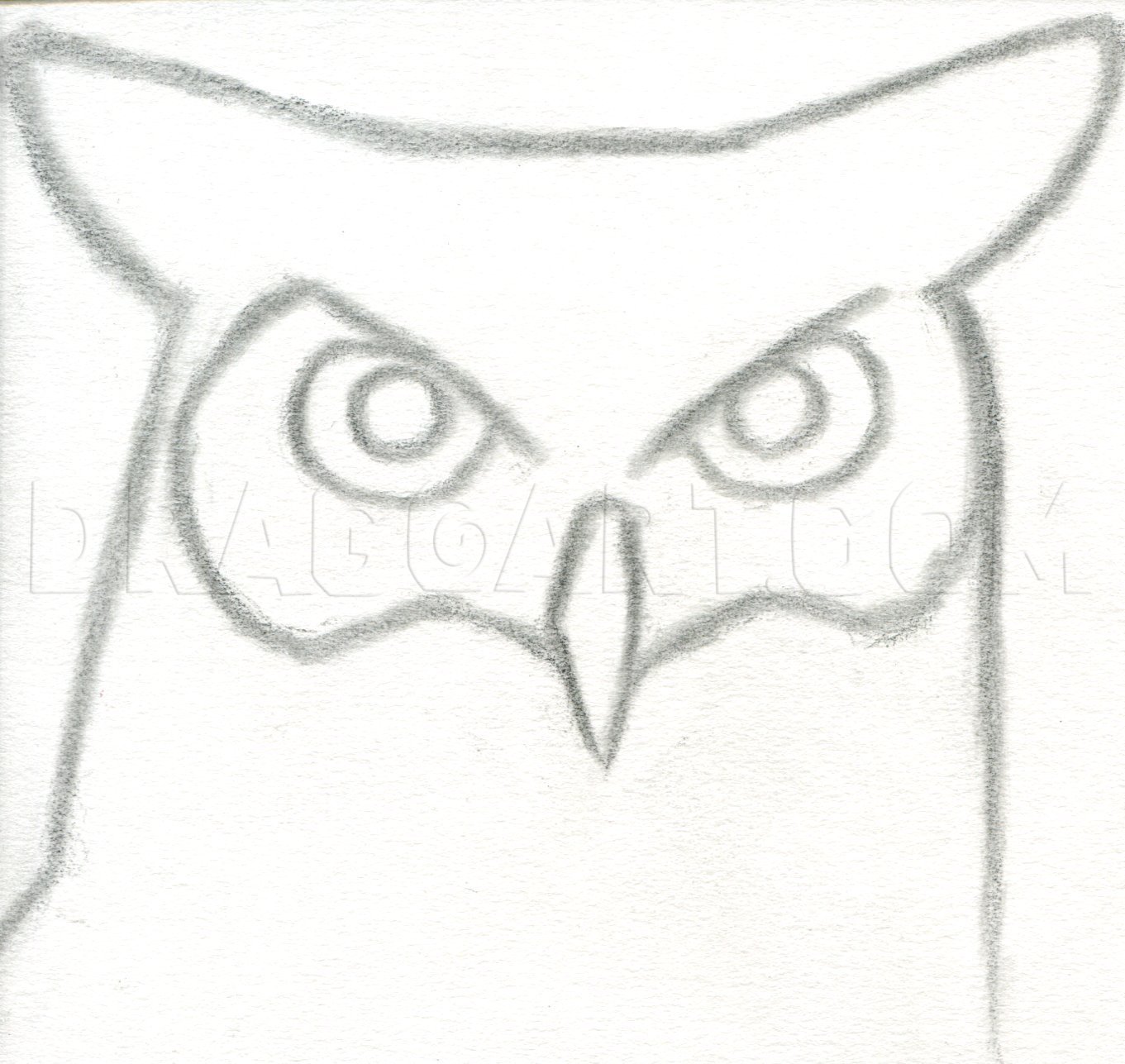 great horned owl sketch