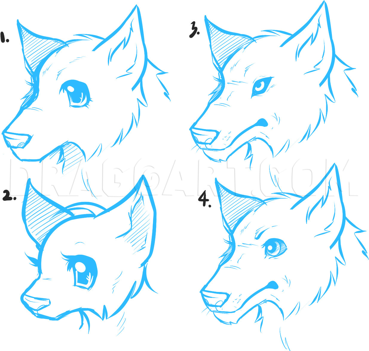 how to draw a anime wolf