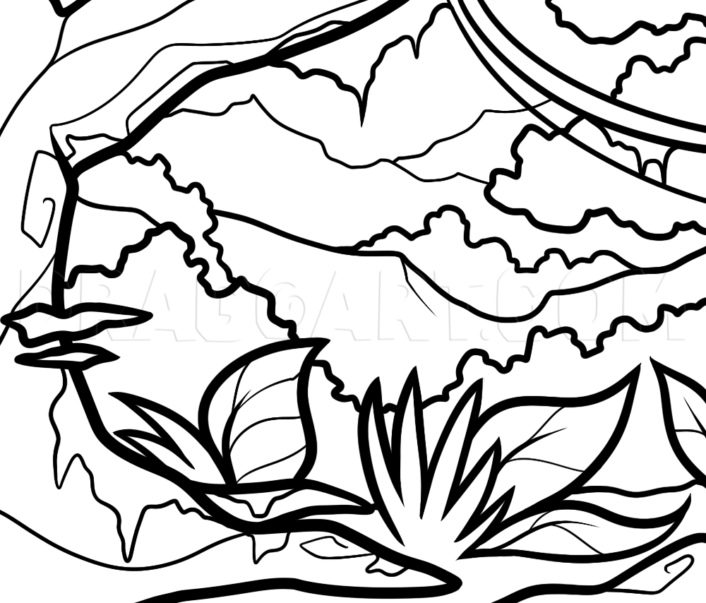 jungle drawing for kids