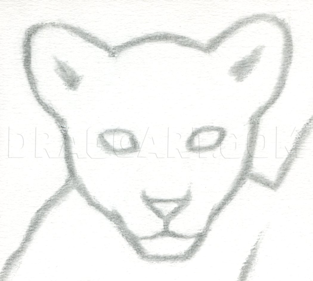 Featured image of post The Best 10 Face Cute Lion Cub Drawing Easy