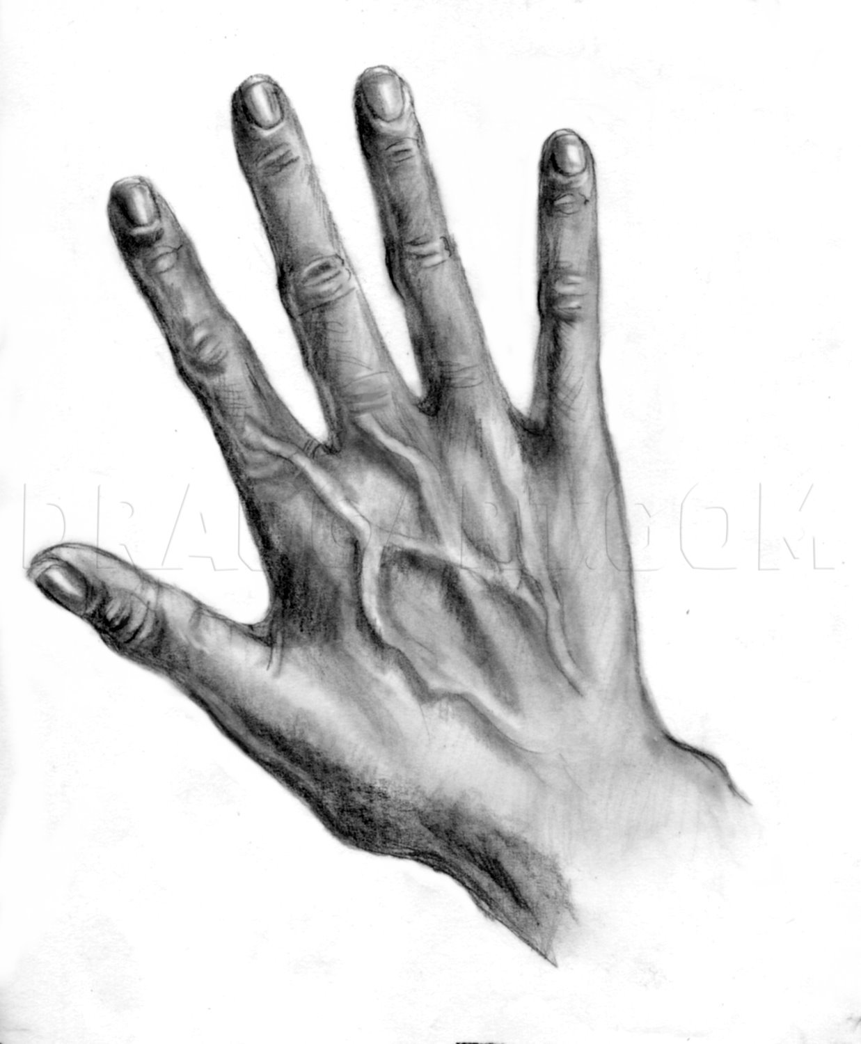 How To Draw Realistic Hands Draw Hands Step By Step Drawing Guide By Catlucker Dragoart