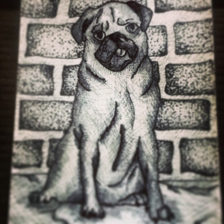 Pug