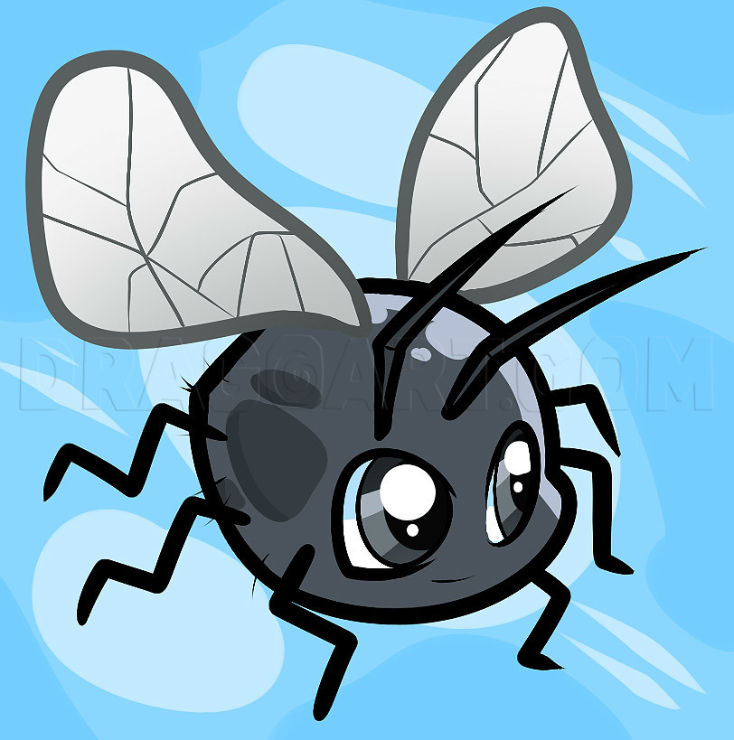 How To Draw A Fly For Kids, Step by Step, Drawing Guide, by Dawn DragoArt