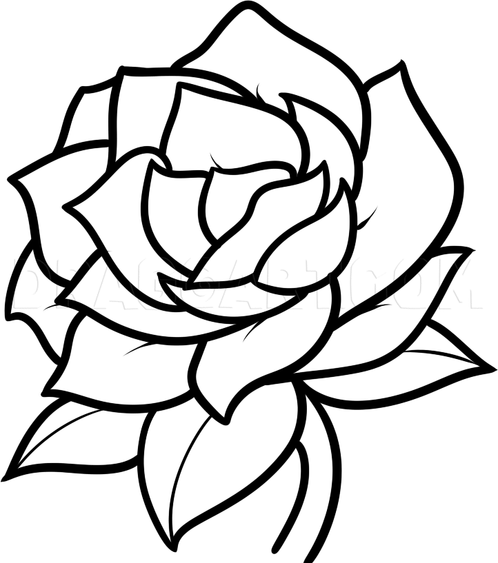 How To Draw A Gardenia, Step by Step, Drawing Guide, by Dawn DragoArt