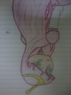 Princess Bubblegum(Anime Version)