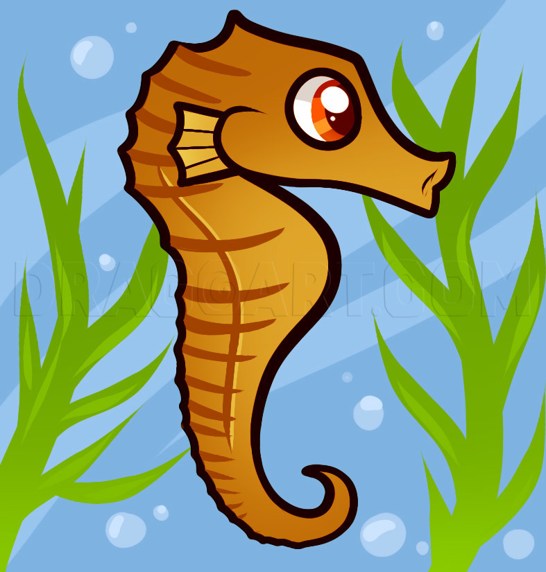 how to draw a seahorse