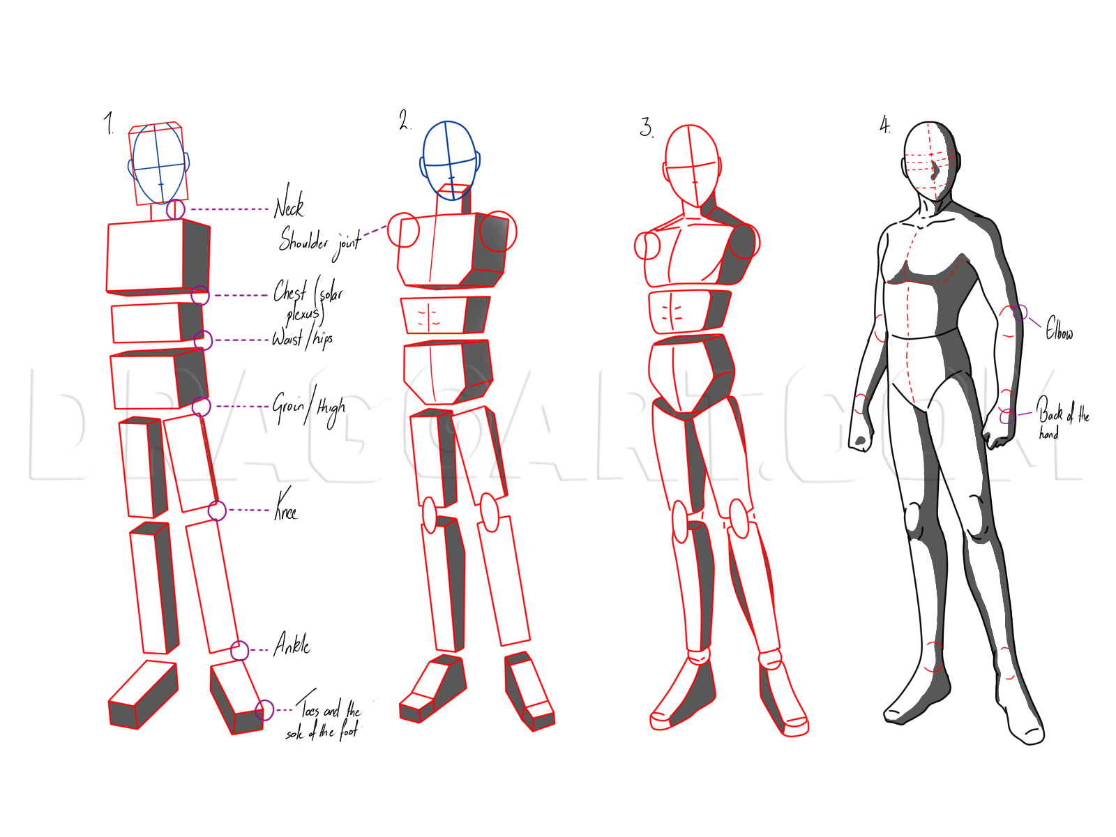 Featured image of post Anime Full Body Drawing Step By Step