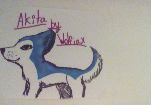 ArtFromAWolf Feed Most Recent DragoArt